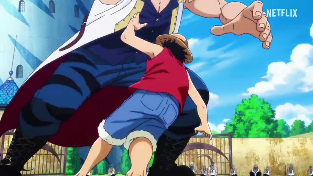THE ONE PIECE