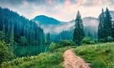 nature 23