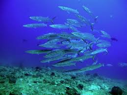 images (7)