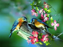 images (8)
